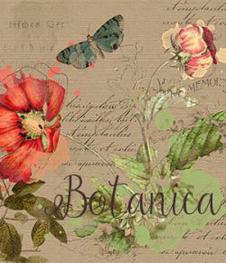 Botanica: A Mini Design Kit