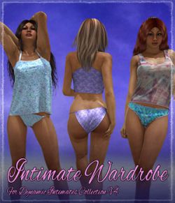 Intimate Wardrobe for Dynamic Intimates Collection