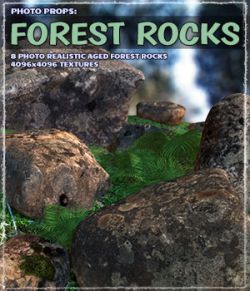 Photo Props: Forest Rocks