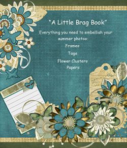 LITTLE SUMMER BRAG BOOK