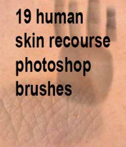 human skin recource photoshop brushes