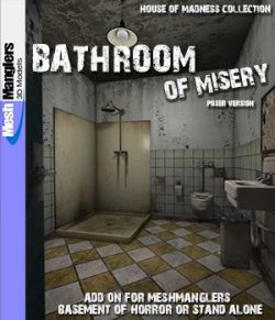 Bathroom of Misery