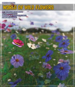 Photo Plants: World of Wildflowers