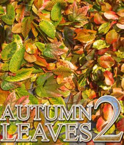 Flinks Autumn Leaves 2