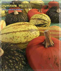 Photo Buffet: Pumpkin Field