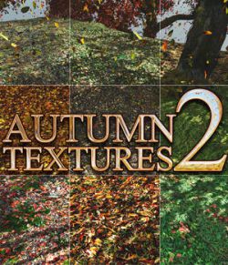 Flinks Autumn Textures 2