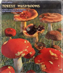 Photo Props: Forest Mushrooms