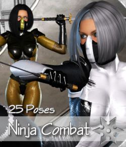 Ninja Combat