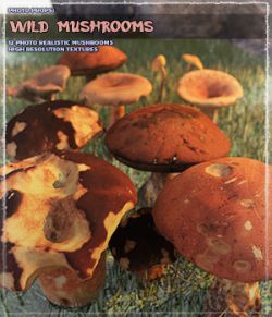 Photo Props: Wild Mushrooms