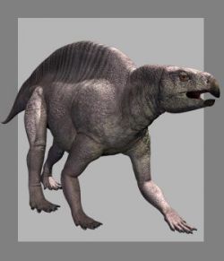 Lotosaurus adentus DR