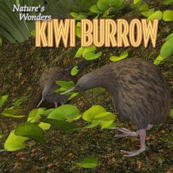 Nature's Wonders Kiwi Burrow