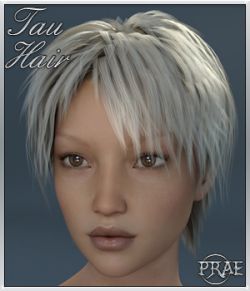 Tau Hair For Genesis 3