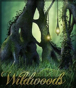 Wildwoods Backgrounds