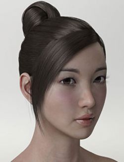 HY Updo Hair for Genesis 3 Female(s)