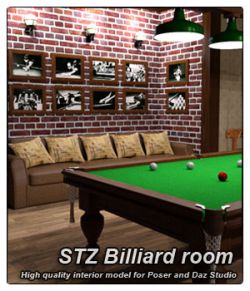 STZ Billiard room