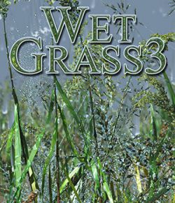 Flinks Wet Grass 3