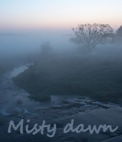 Misty dawn