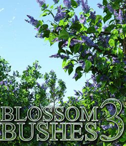 Flinks Blossom Bushes 3