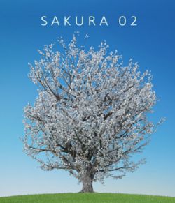 Sakura 02