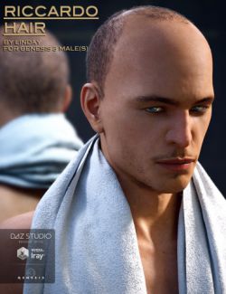 Riccardo Hair for Genesis 3 Male(s)