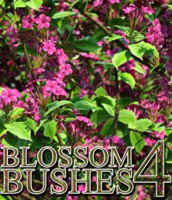 Flinks Blossom Bushes 4