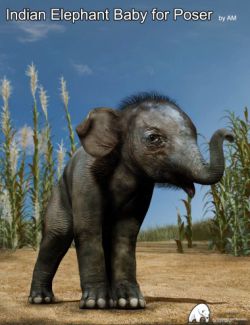 Indian Elephant Baby for Poser by AM