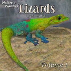 Nature's Wonders Lizards of the World Vol. 1