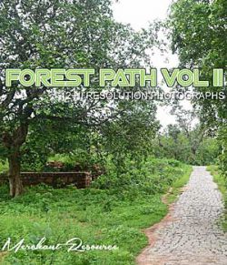 FOREST PATH VOL II