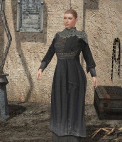Medieval Dress C (V4) (for Poser)