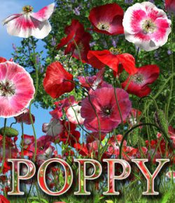 Flinks Flowers- Flower 4- Poppy