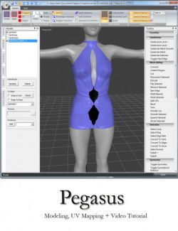 Pegasus Modeler 4.0 Upgrade from 3.0