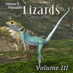 Nature's Wonders Lizards of the World Vol. 3