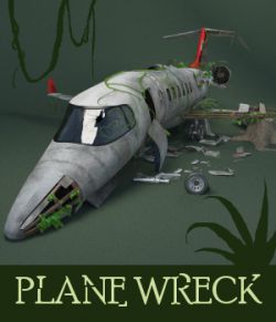 Plane Wreck