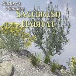 Nature's Wonders Sagebrush Habitat