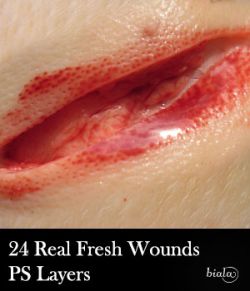 24 Fresh Wounds PS Layers