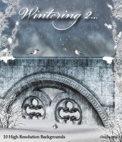 Wintering2...