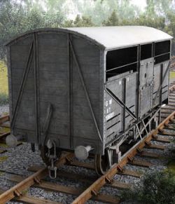 Cattle wagon