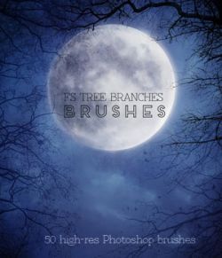 FS Tree Branches Brushes