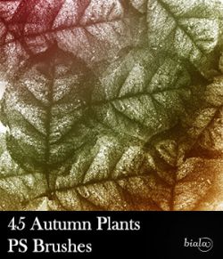 45 Autumn Plants PS Brushes