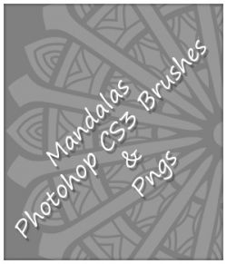 24 Mandala Brushes and PNGs