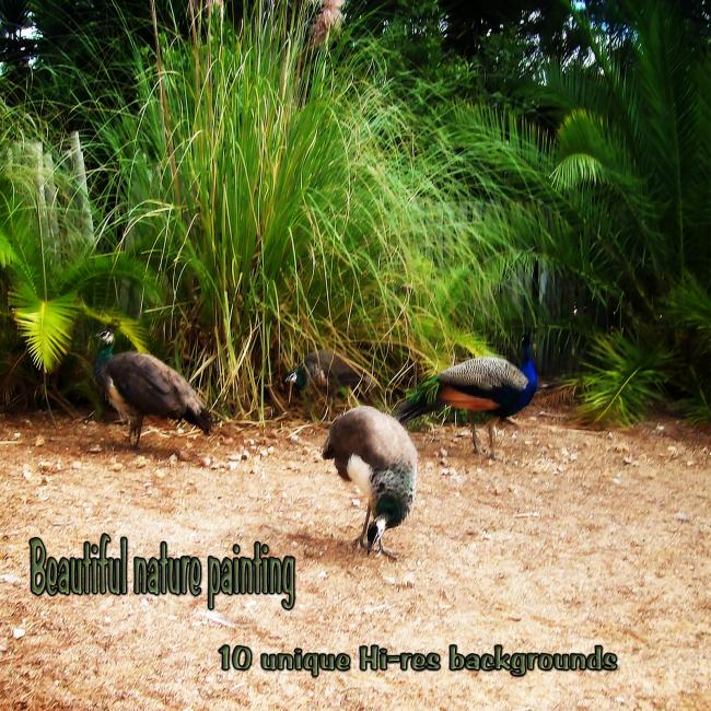 Click here to see preview images for "Beautiful Nature Painting Backgrounds" Beautiful Nature Painting Backgrounds