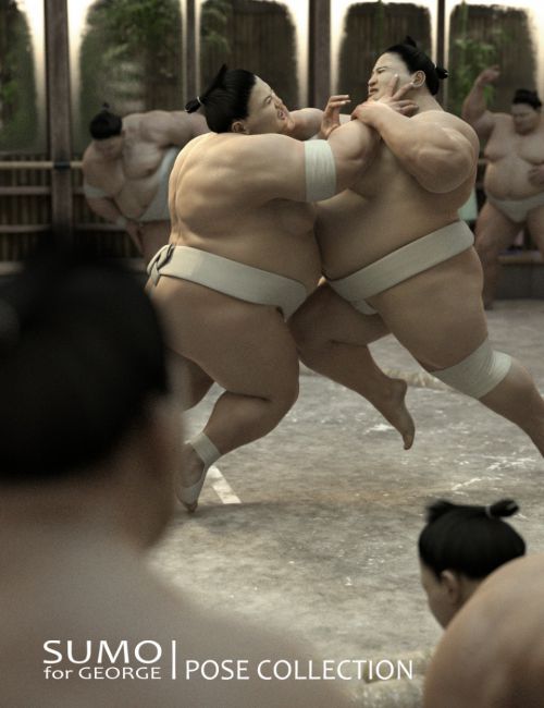 31,000+ Sumo Wrestling Pictures