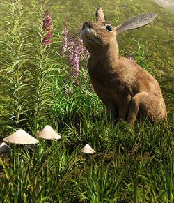 Little Patch Of Grass for Daz Studio and Iray