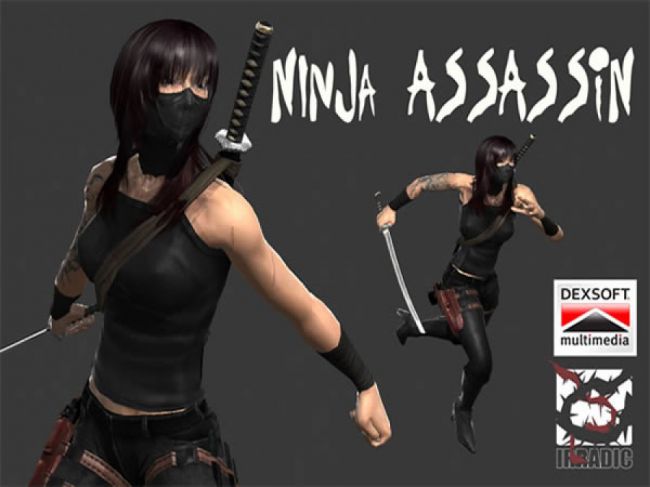 Ninja Assassin Studios