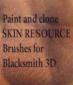 Blacksmith3D Skin resource brushes