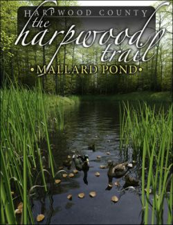 The Harpwood Trail- Mallard Pond