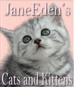 JaneEden's Cats and Kittens