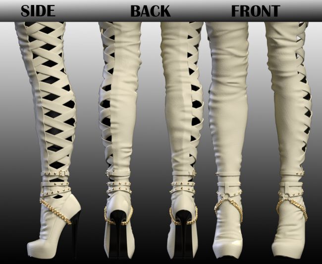 Carina High Boots Genesis 3 Female(s) | 3d Models for Daz Studio and Poser