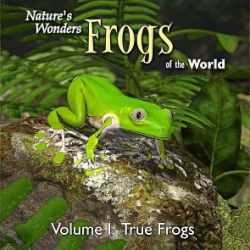 Nature's Wonders Frogs of the World Vol. 1