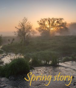 Spring Story